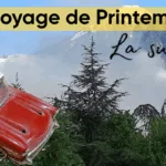 Nettoyage de printemps glacial