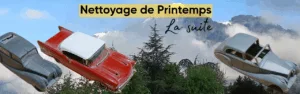 Nettoyage de printemps glacial